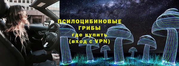 PSILOCYBIN Беломорск